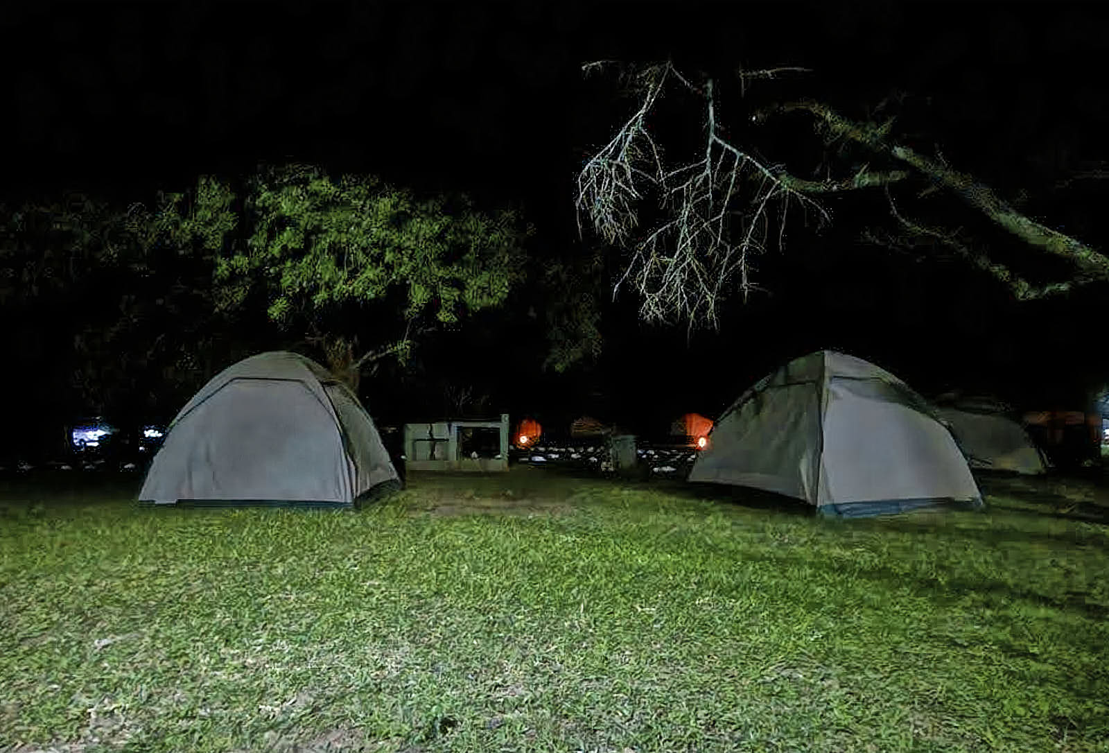 К 19 часам (после сафари) мы вернулись и заселились в Red Chilli Rest Camp