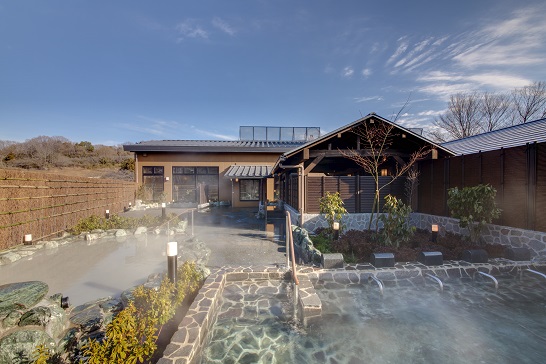 Sagamiko Resort Pleasure Forest cover image