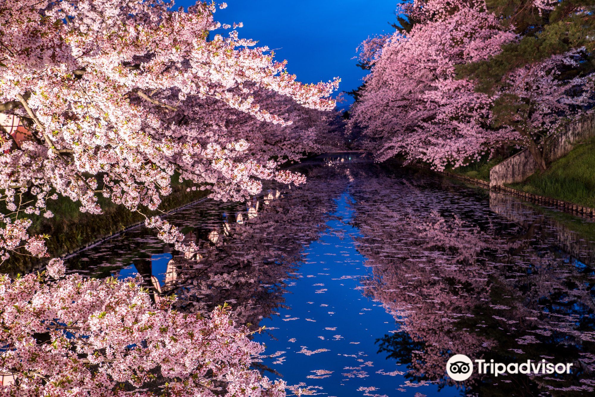 Hirosaki Park cover image