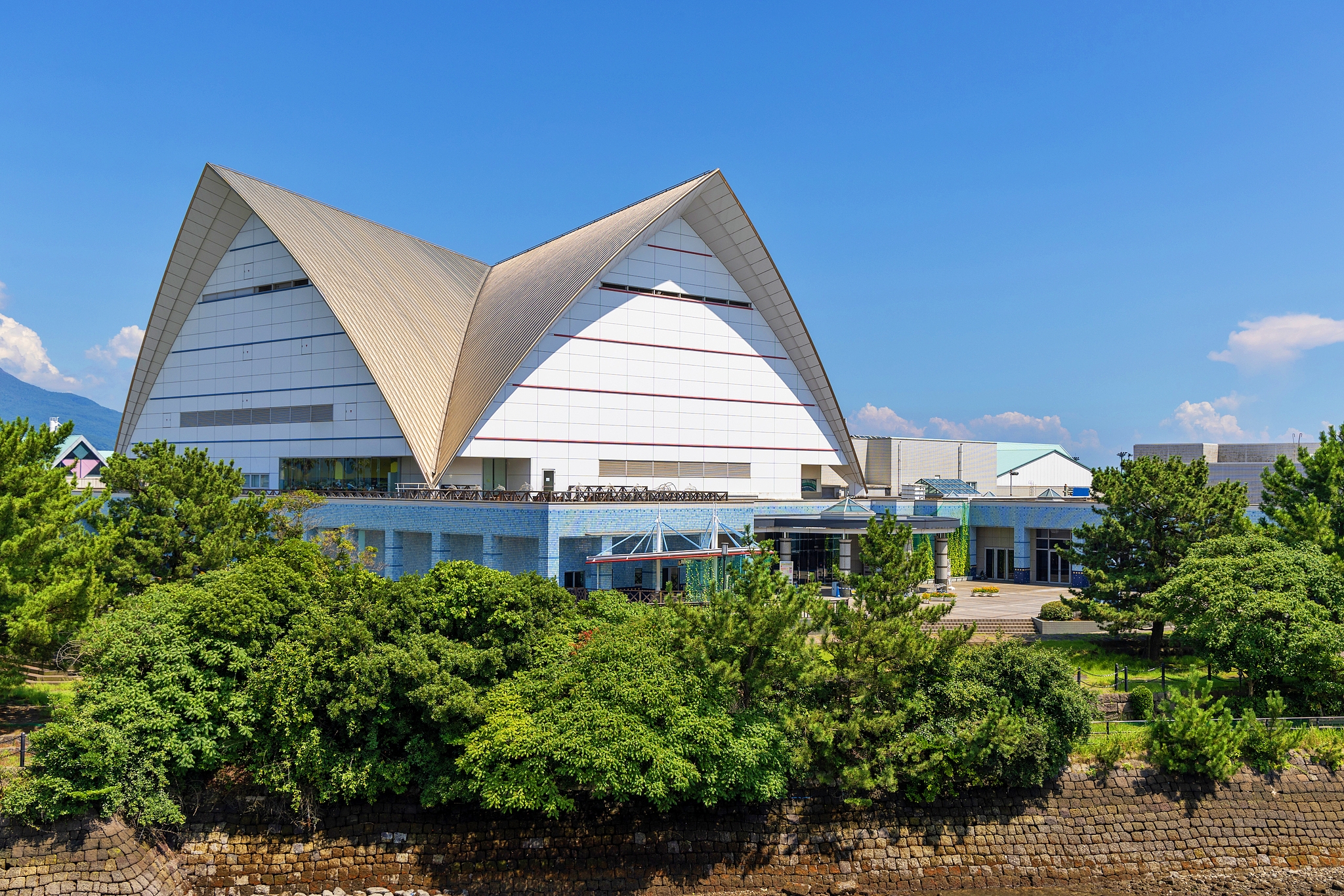Kagoshima City Aquarium cover image