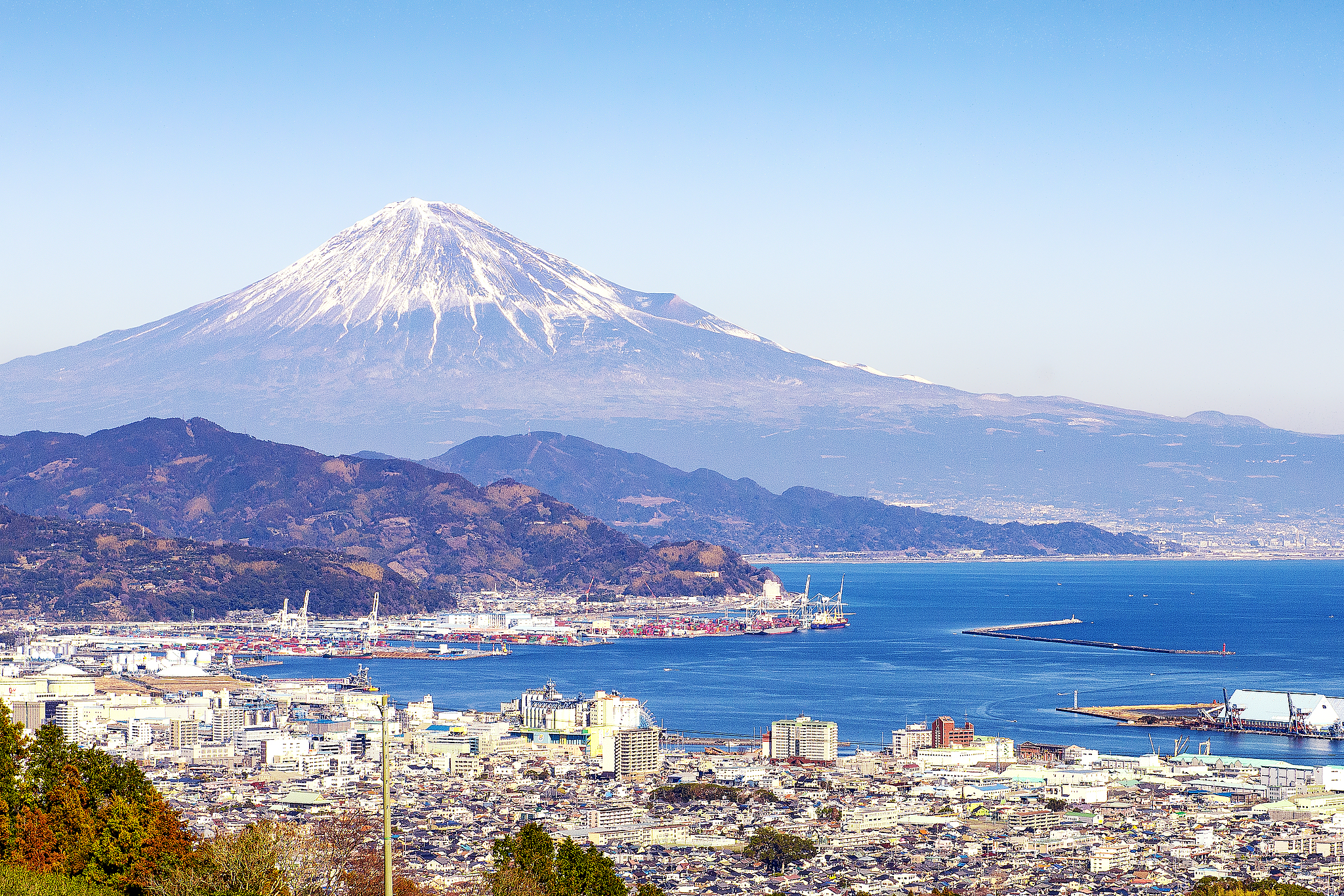 Shimizu Port cover image