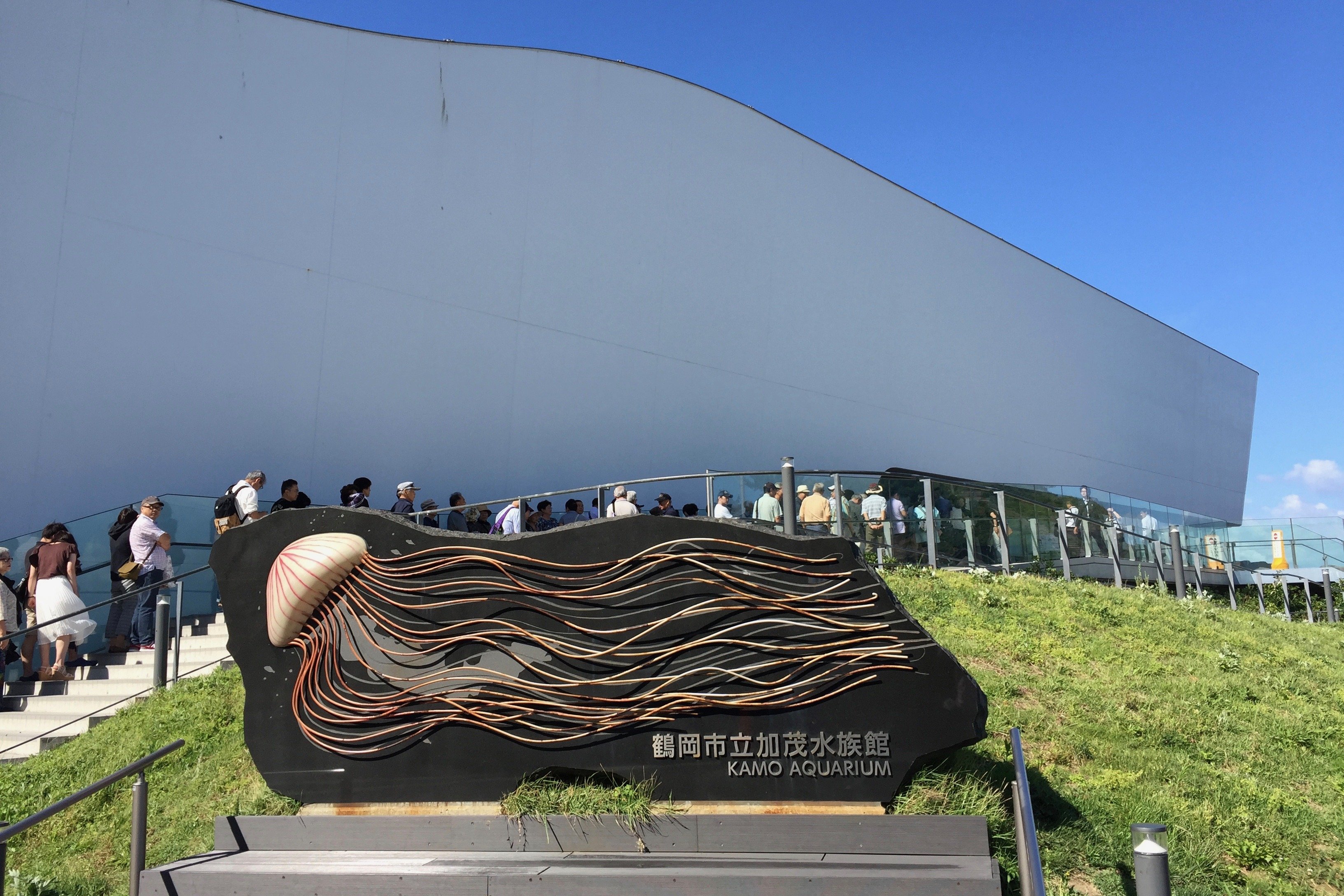 Kamo Aquarium cover image