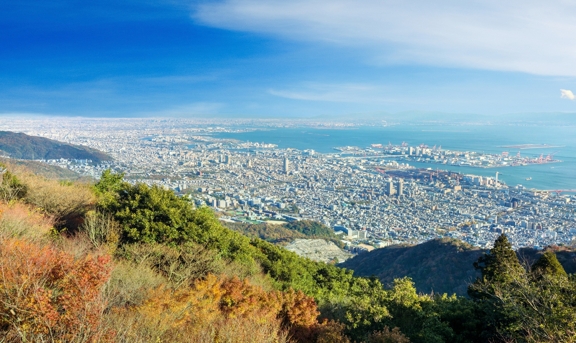 Mount Maya cover image