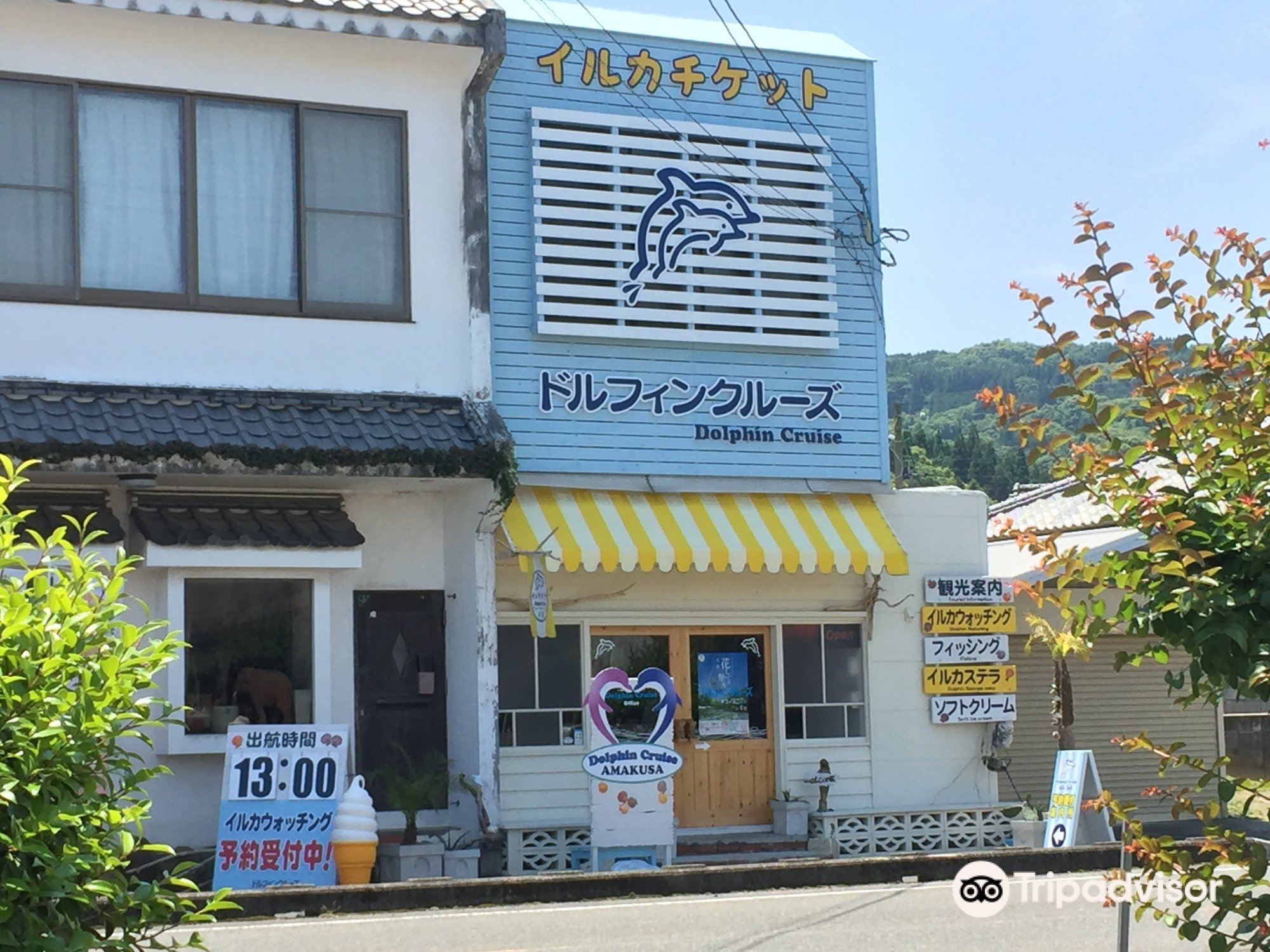 Dolphin Cruise cover image