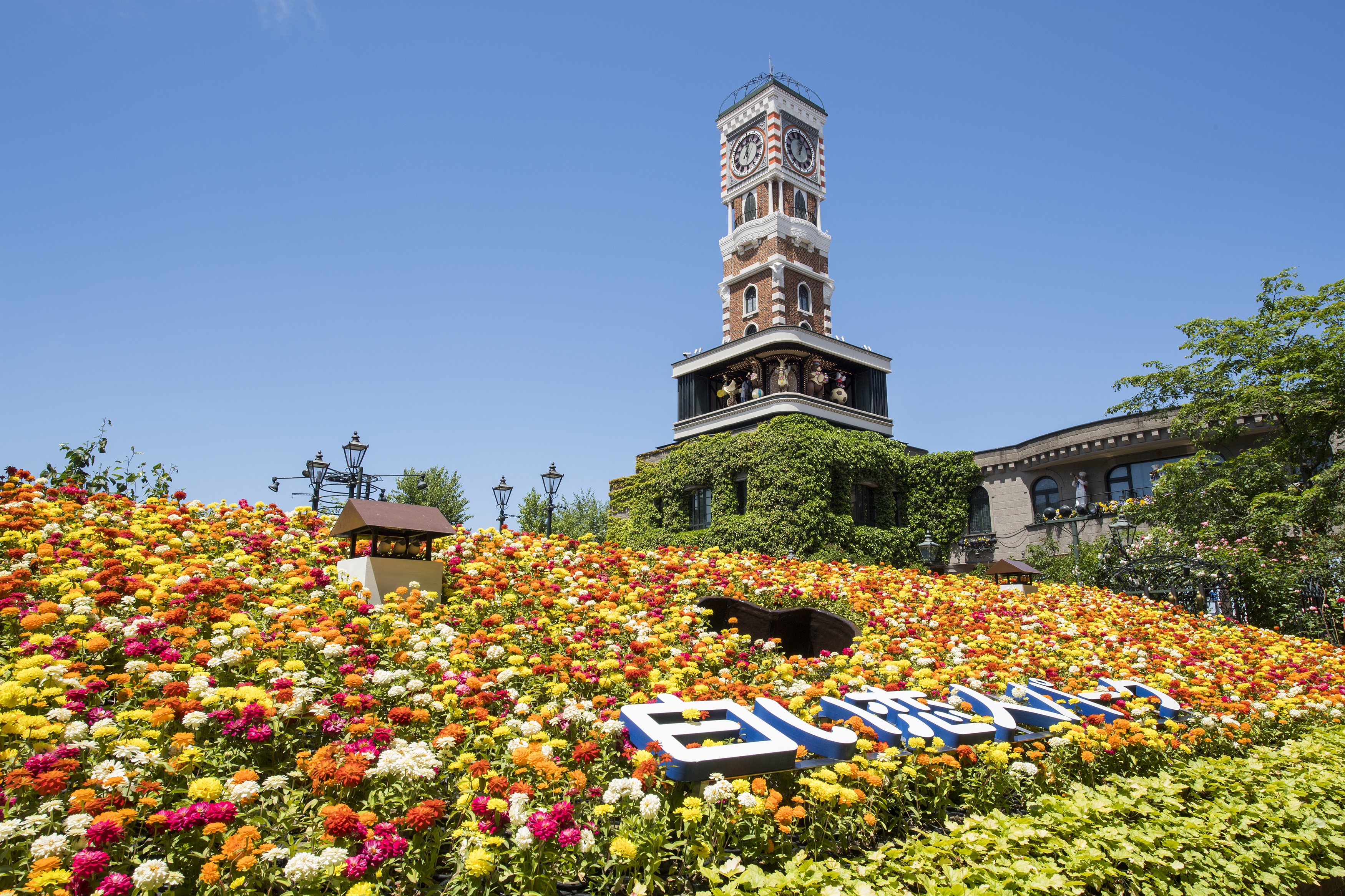 Shiroi Koibito Park cover image