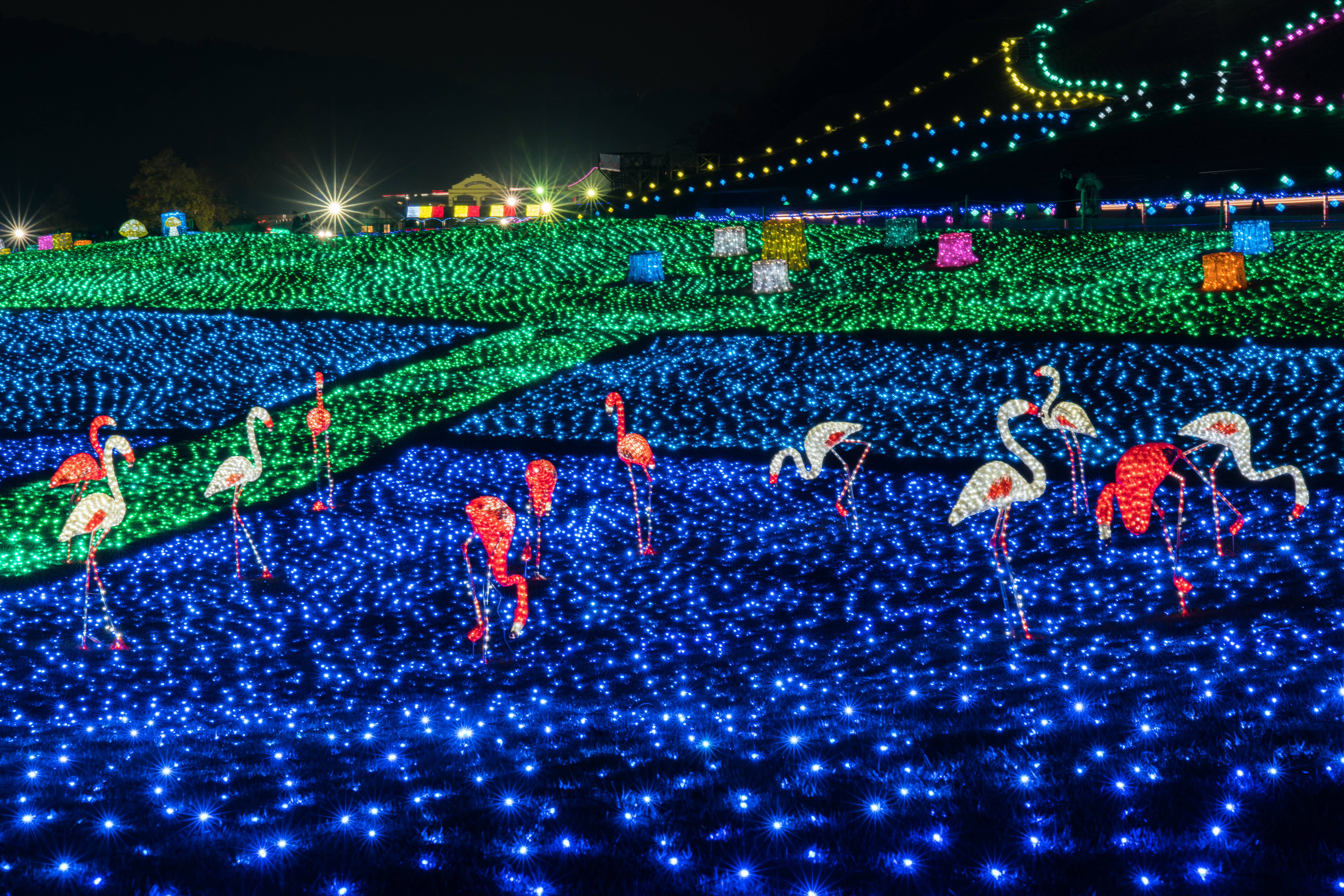 Tokyo German Village cover image