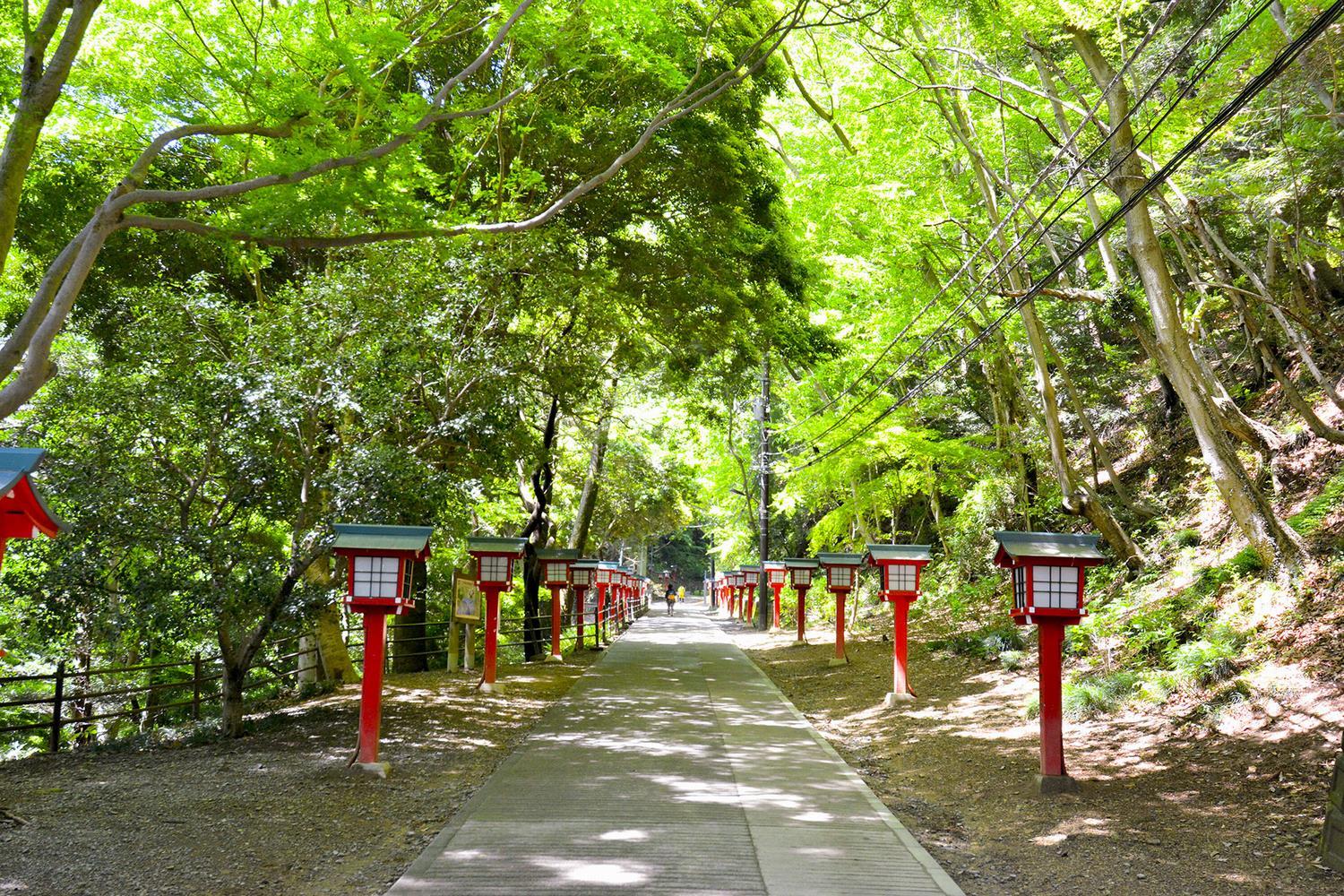 Takaosan Yakuo-in Temple
