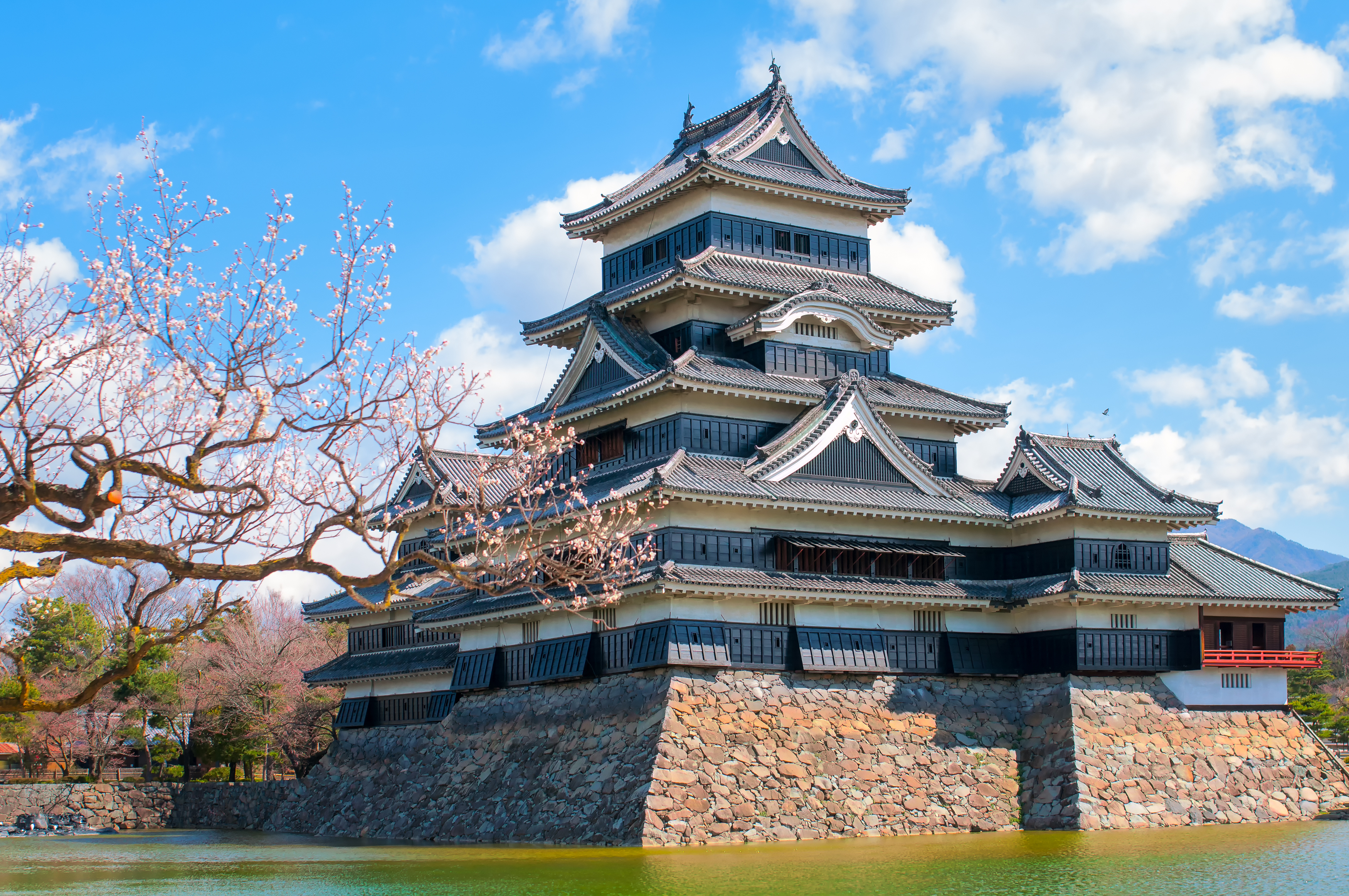 Matsumoto Castle cover image