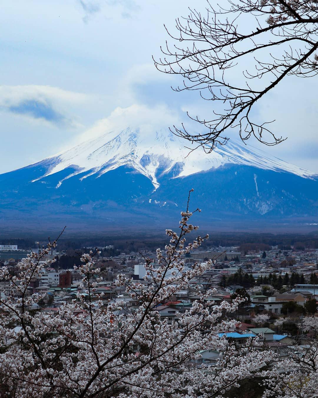 Arakurayama Sengen Park