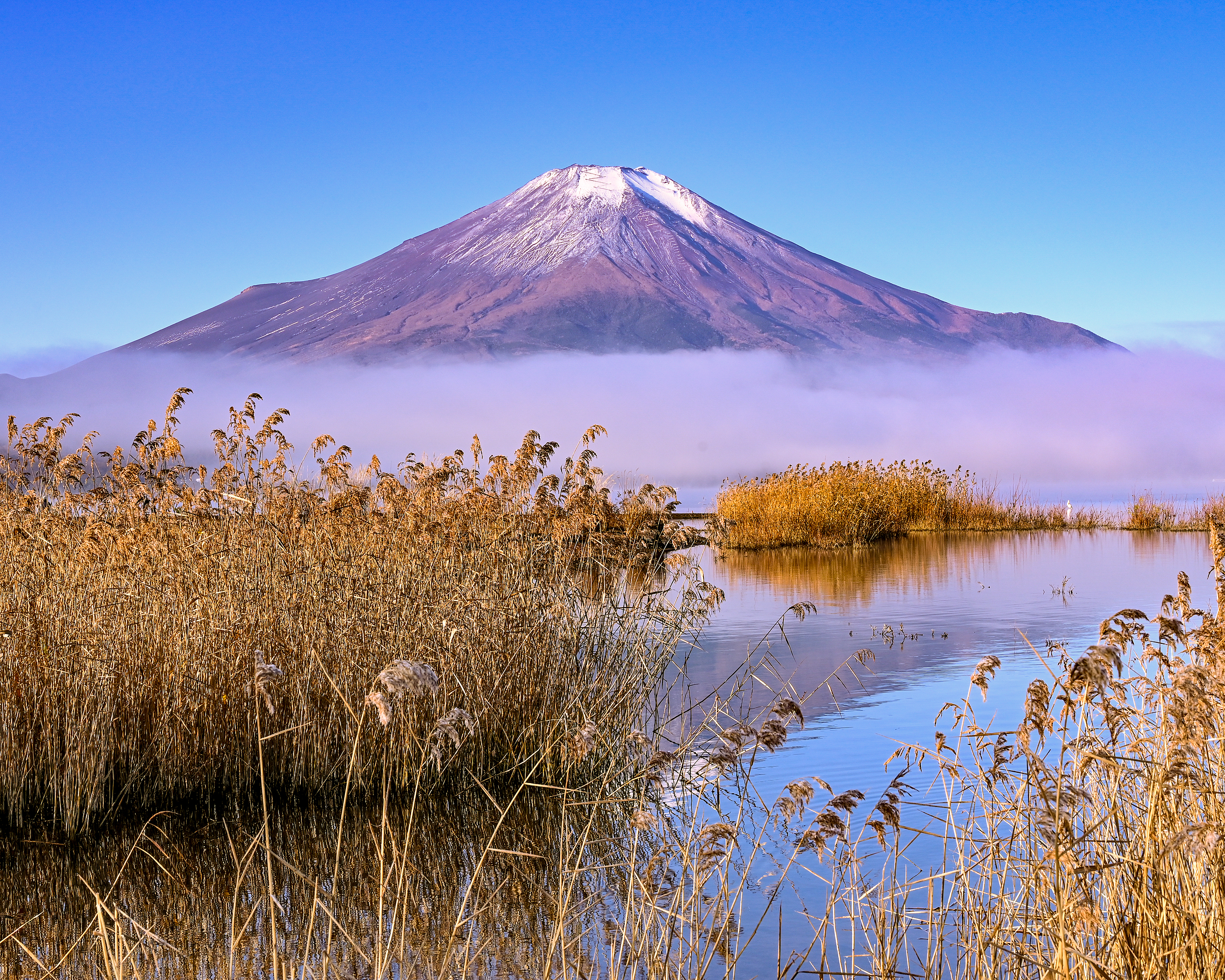 Lake Yamanaka cover image