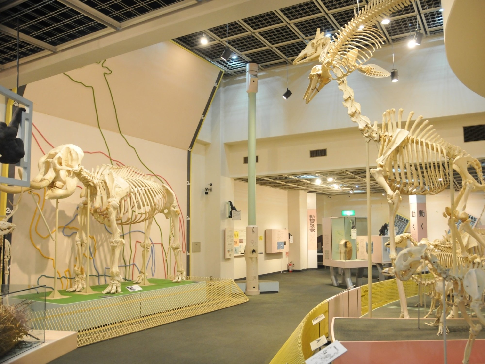 Kobe Ōji Zoo cover image