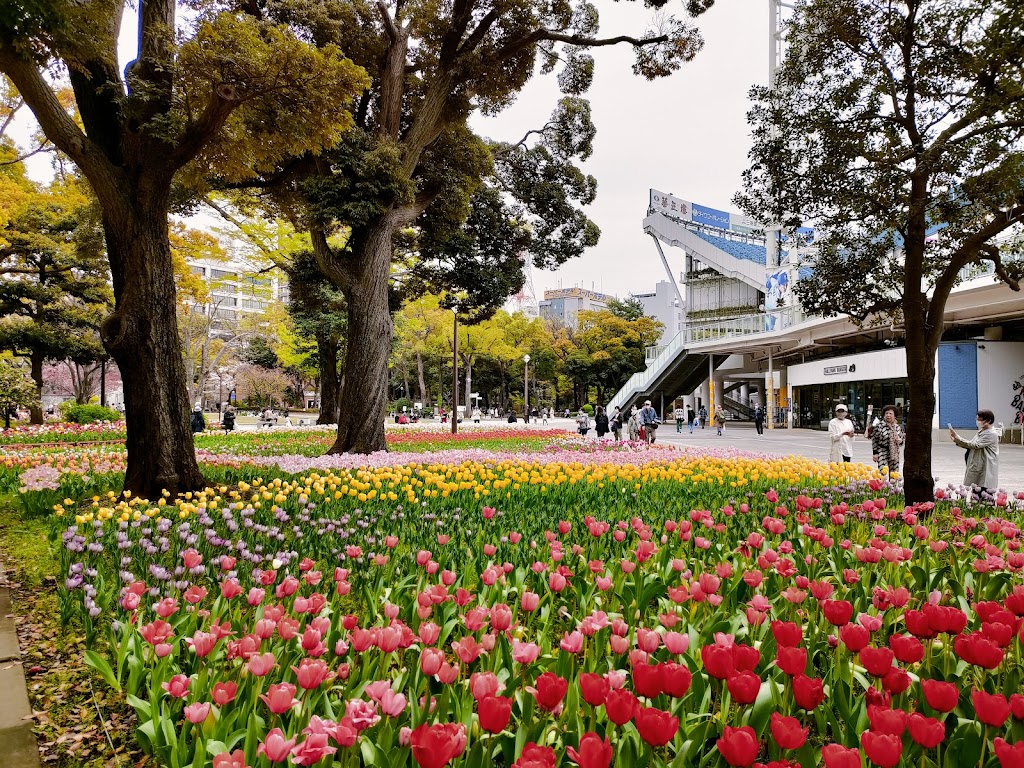 Yokohama Park cover image