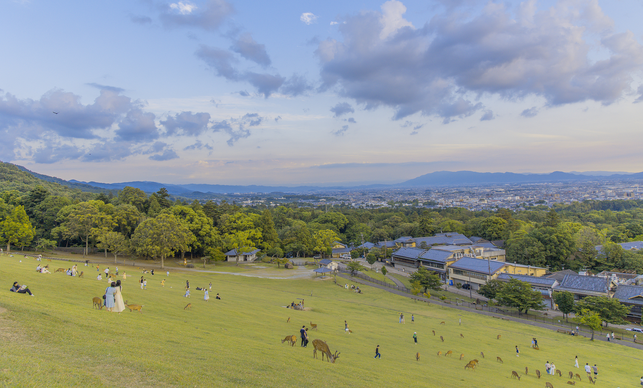 Mount Wakakusa cover image