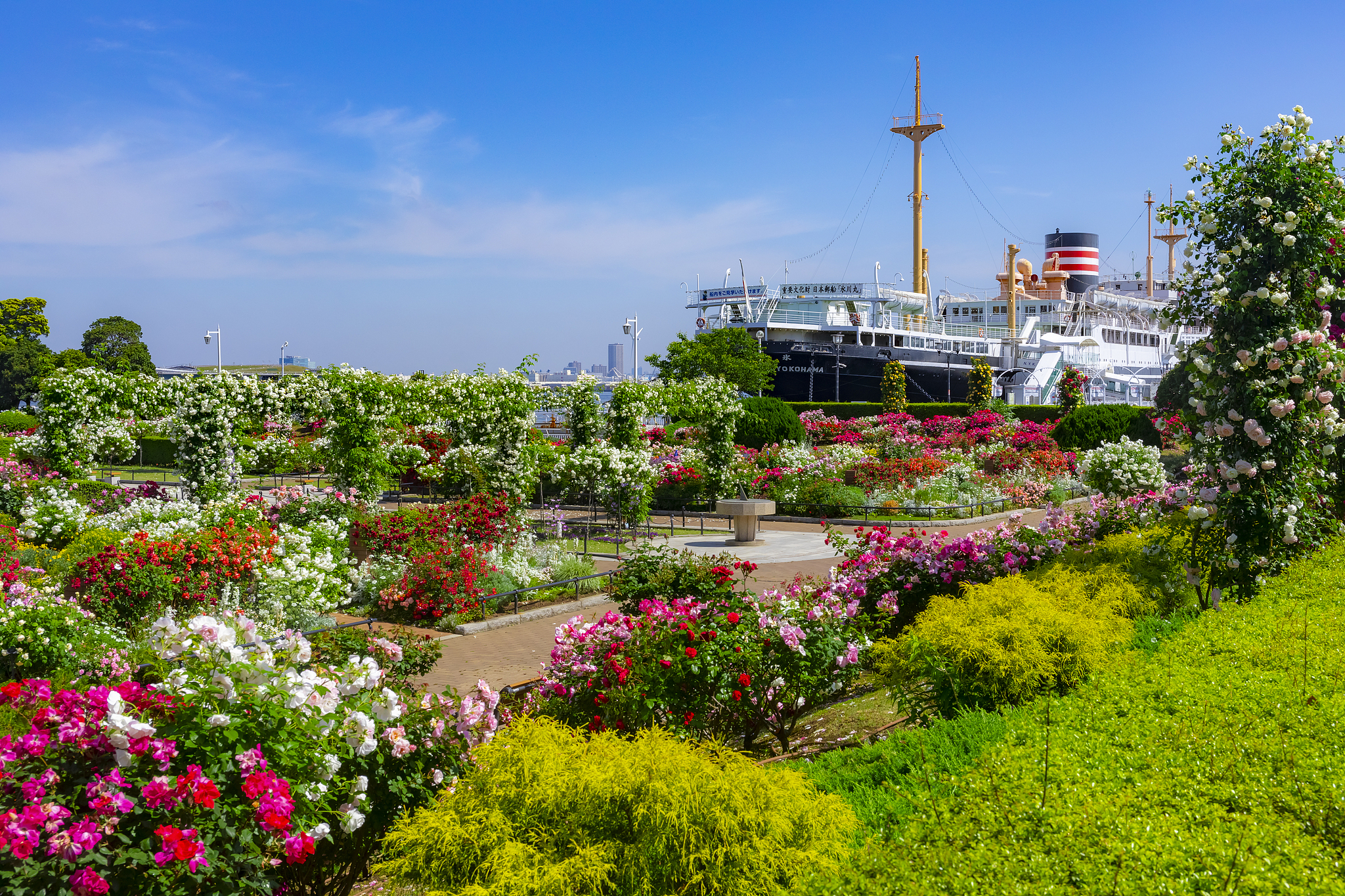 Yamashita Park cover image