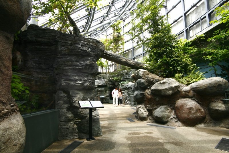 World Freshwater Aquarium Aqua Totto Gifu