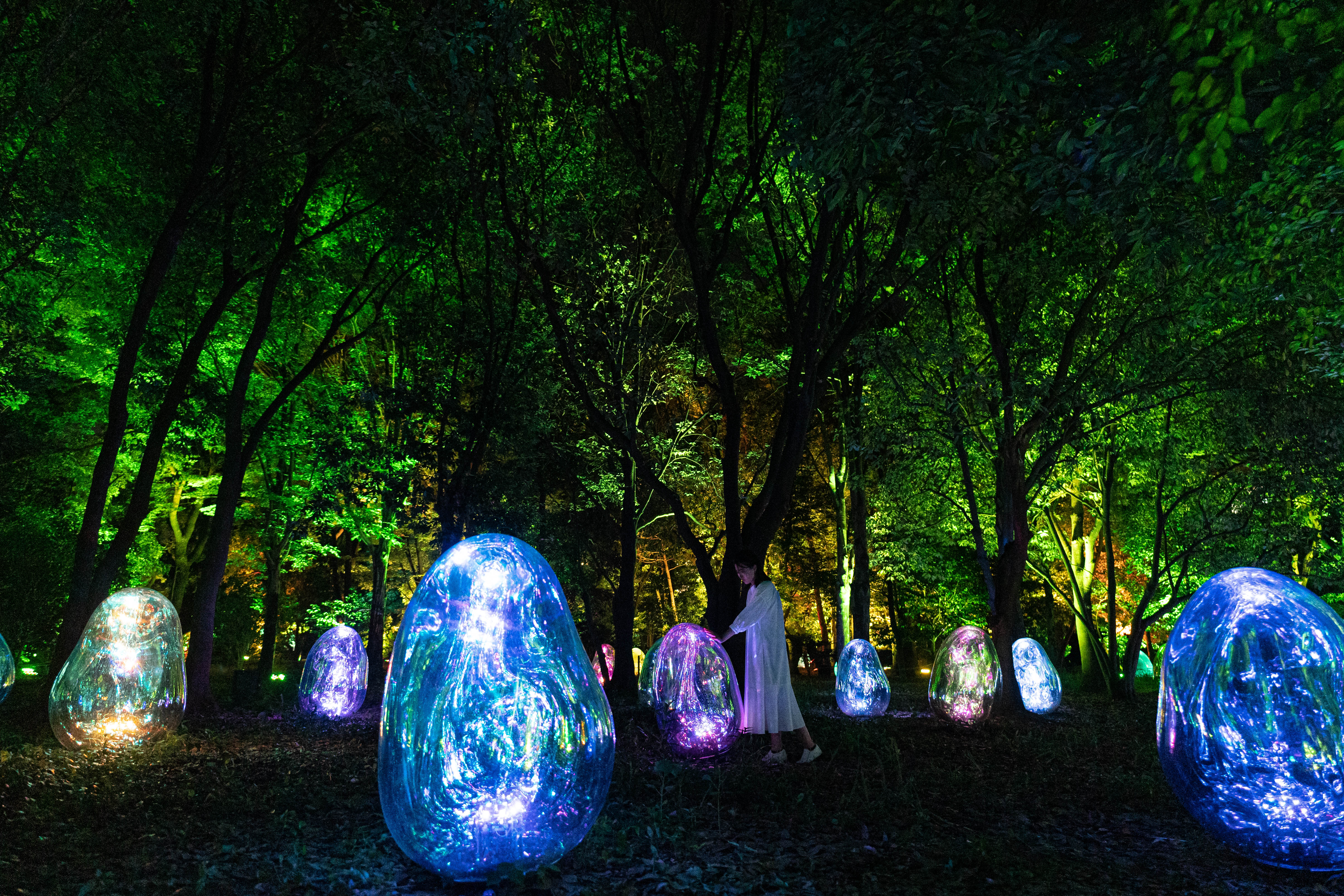 teamLab Botanical Garden Osaka