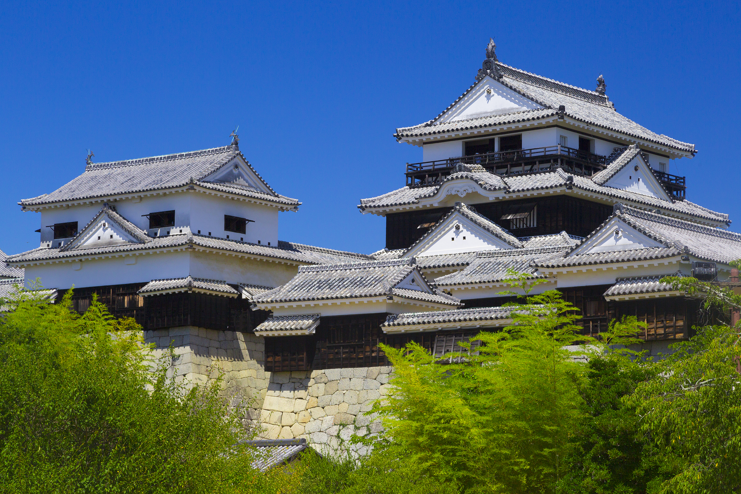 Matsuyama Castle cover image