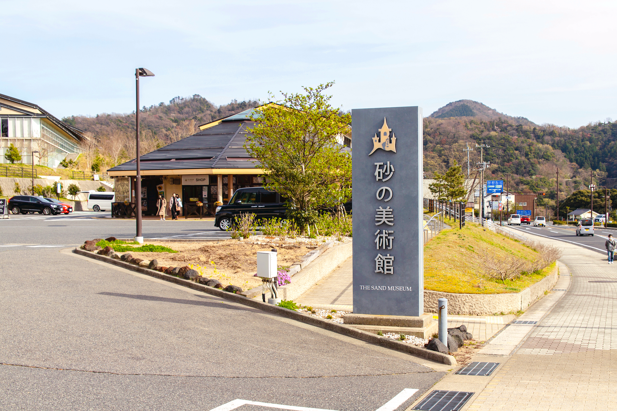 The Sand Museum cover image