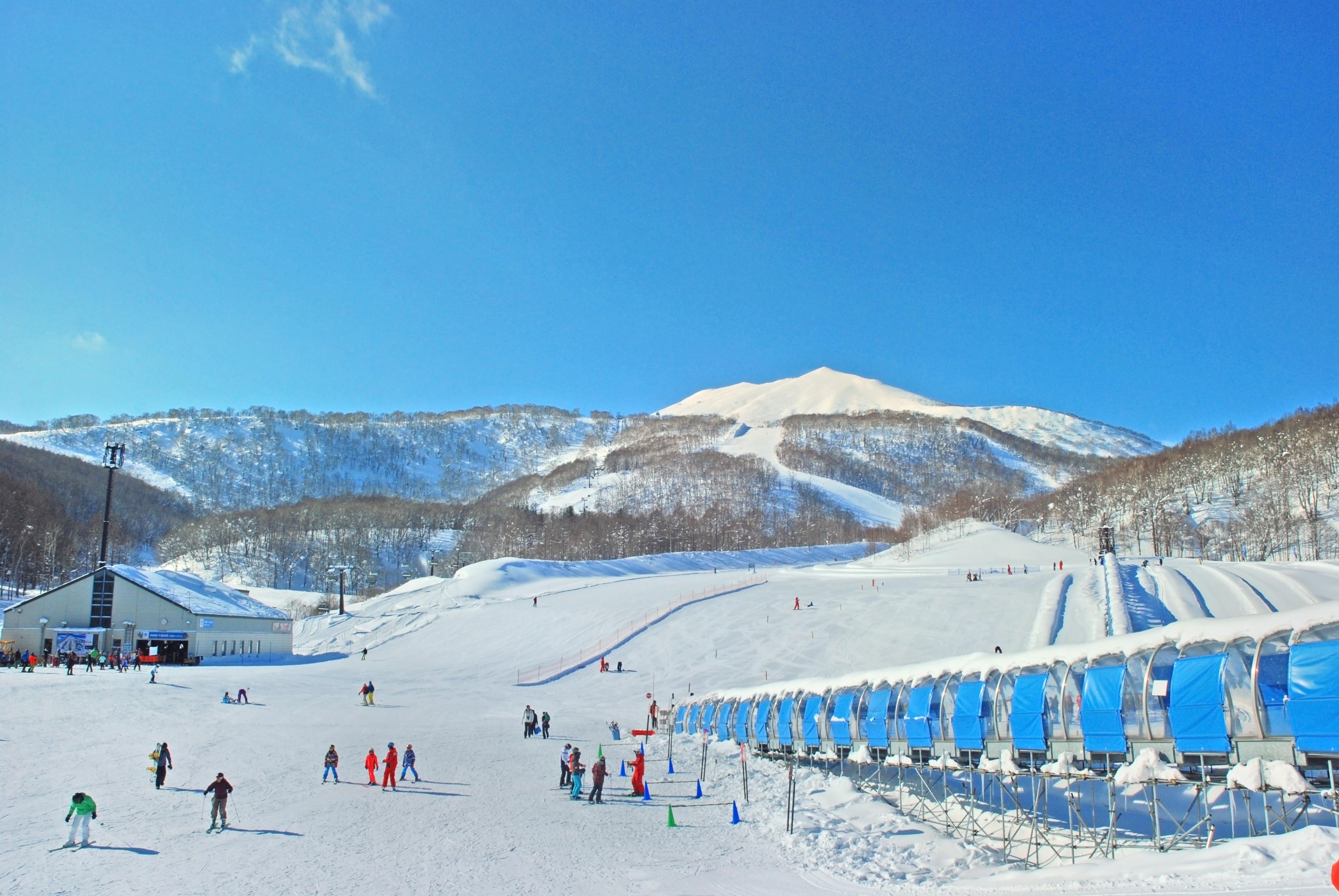 Niseko Village Ski Resort cover image