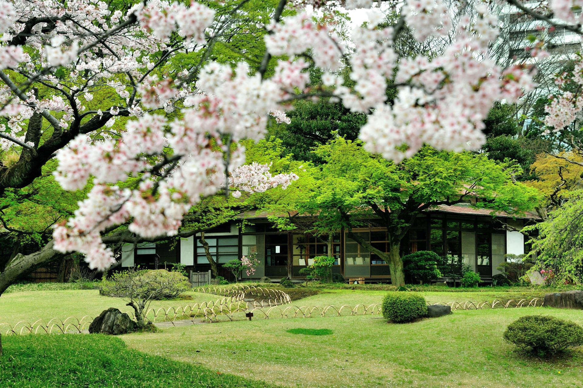 Koishikawa Korakuen Garden cover image