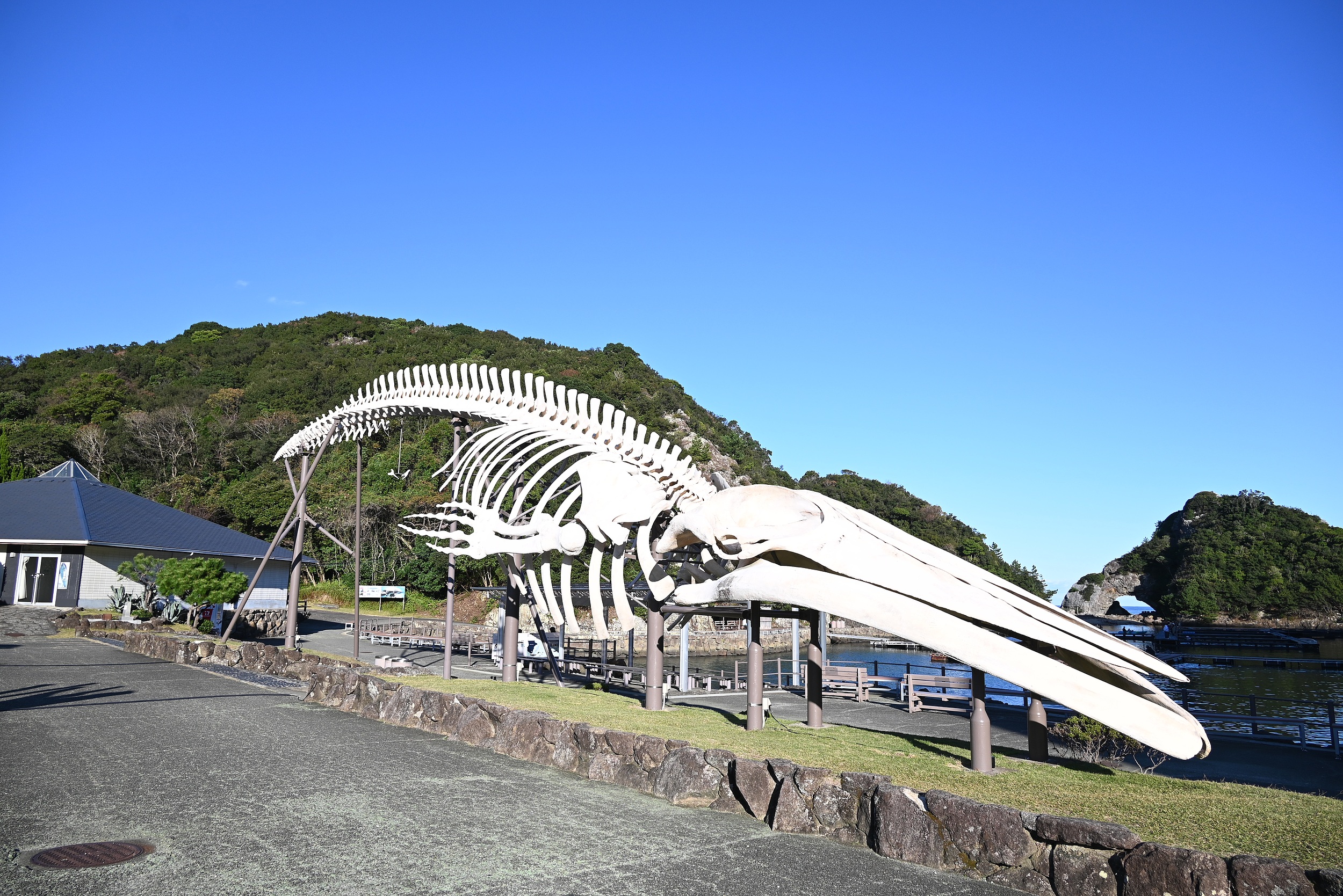 Taiji-cho Whale Museum