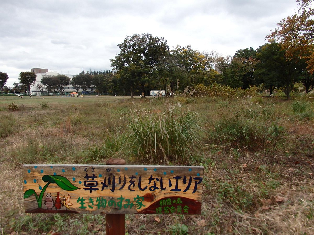 Asakanomori cover image