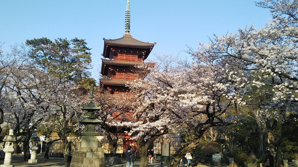 Hokekyoji Temple cover image