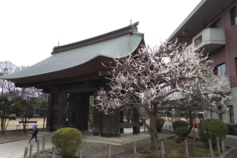 Mito Daiichi High School