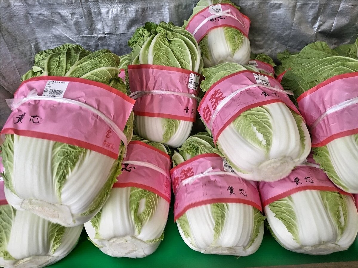 Michi-no-Eki Kawamoto cover image