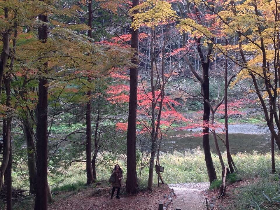 Ranzan Valley cover image