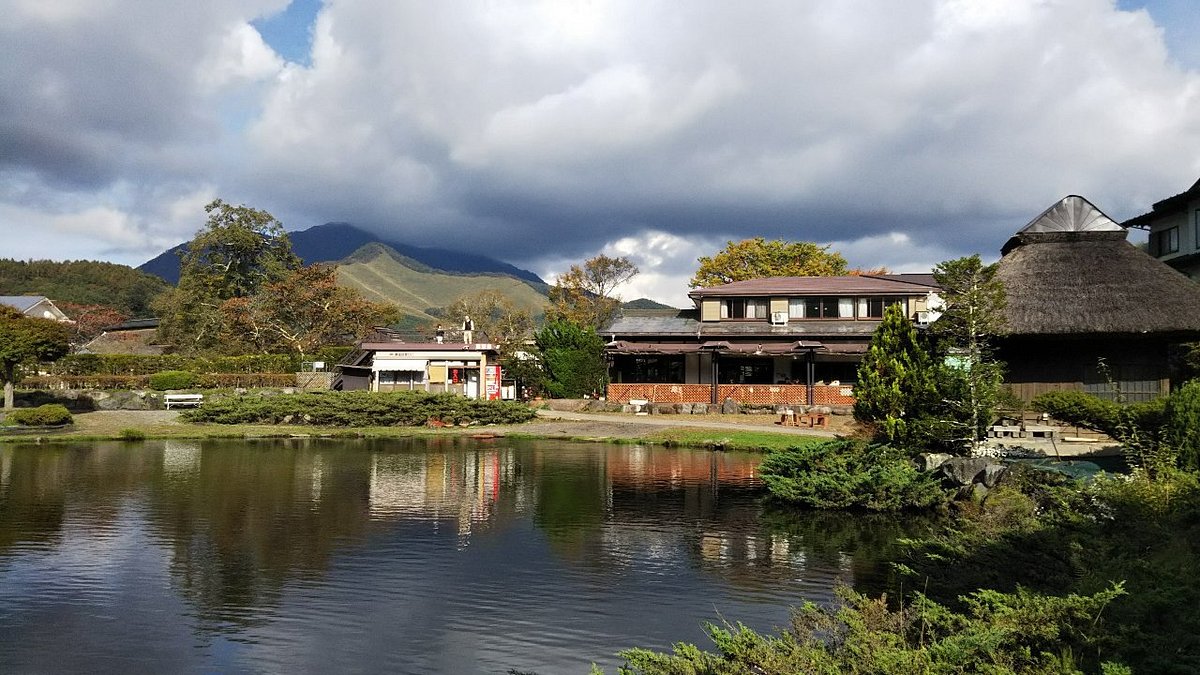 Hannoki Forest Museum / Sokonuke Pond