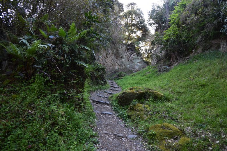 Kamakura's Seven Entrances cover image