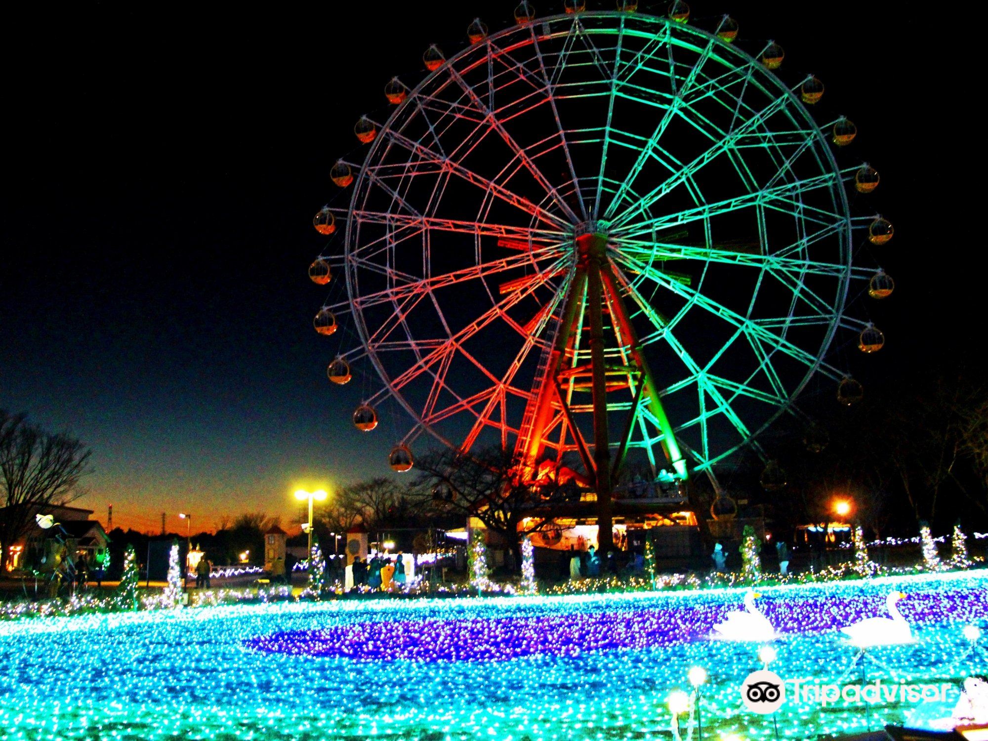 Tobu Zoo cover image