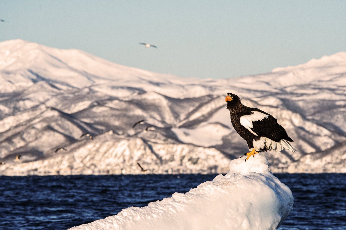 Shiretoko National Park cover image