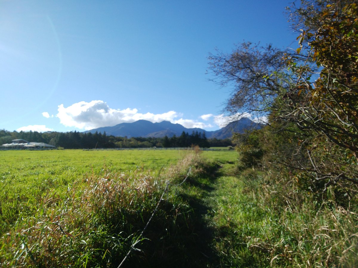 Yatsugatake Alpaca Farm cover image