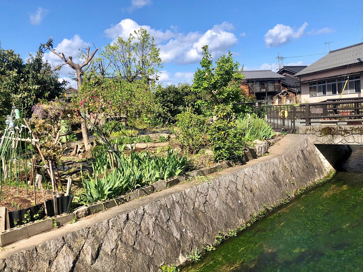 Harie Shozu no Kabata cover image