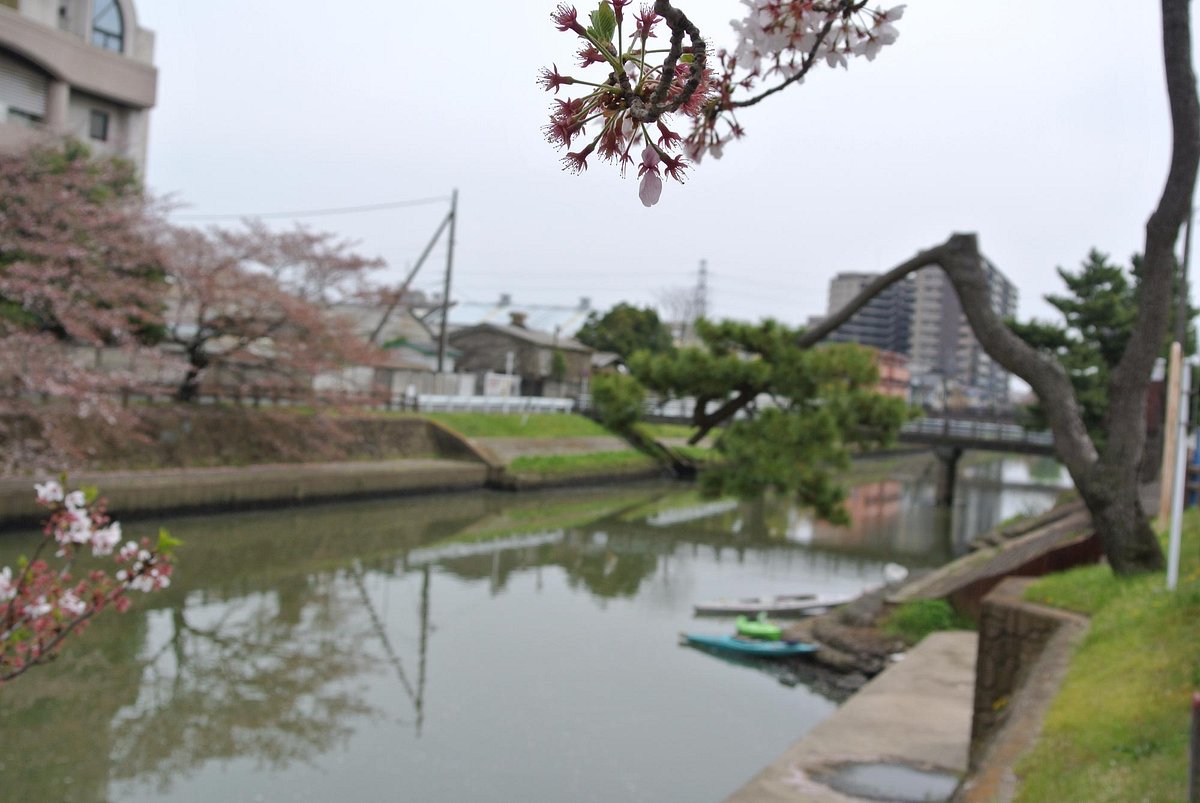 Soka Matsubara cover image