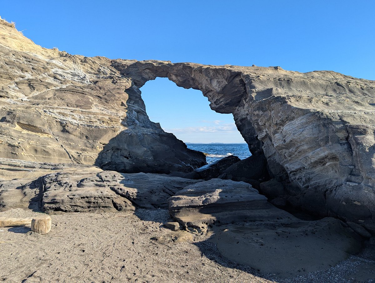 Umanose Domon cover image