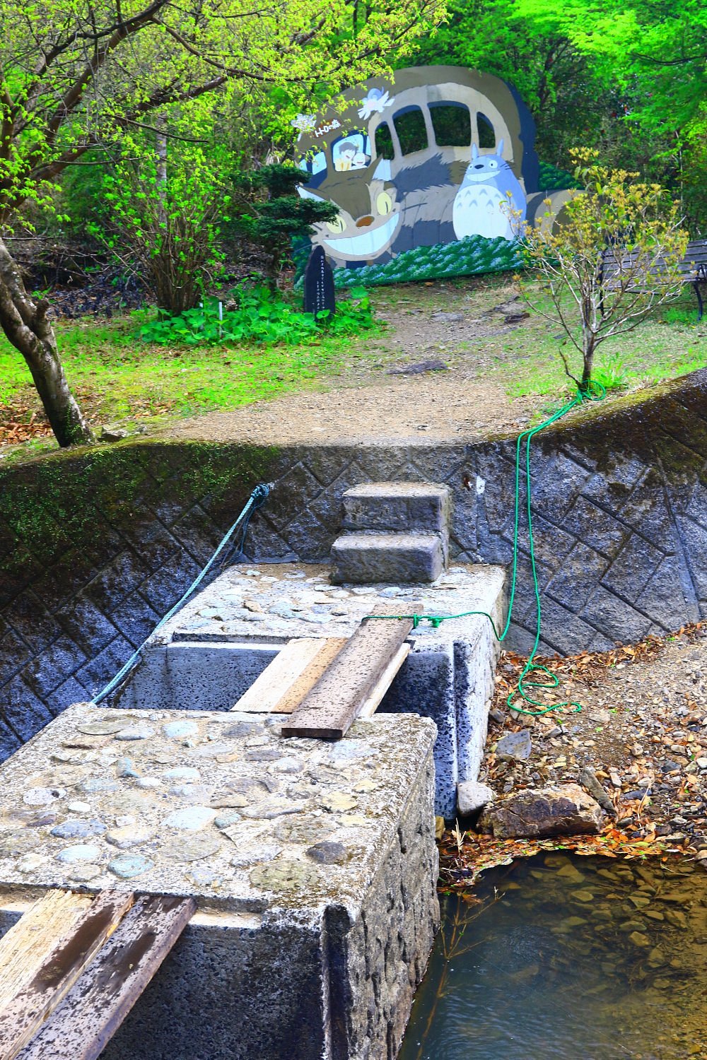 Totoro no Mori cover image