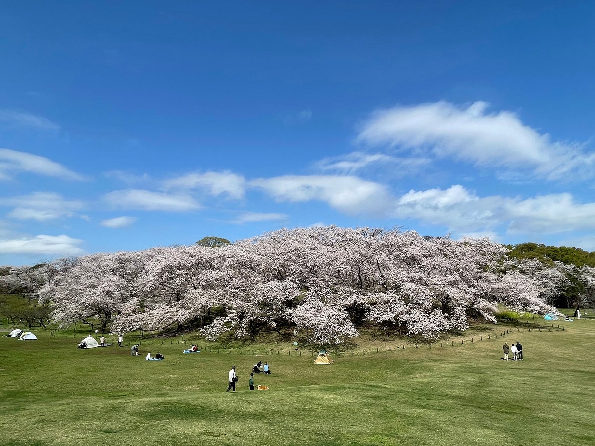 Yokohama Negishi Forest Park
