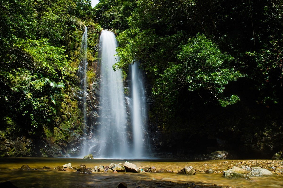Ta Waterfall cover image