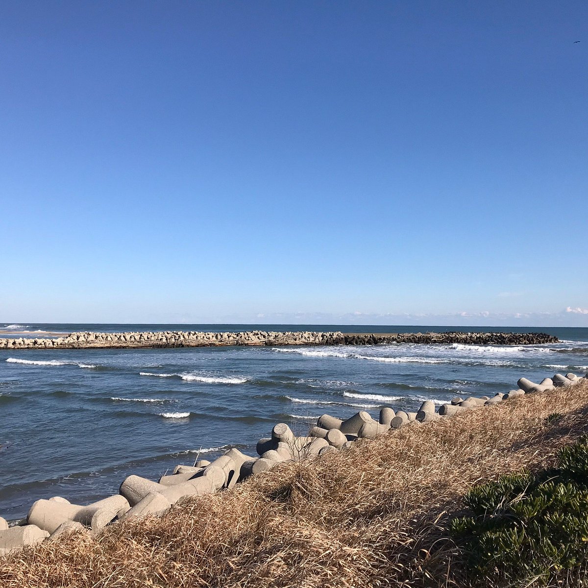 Isumi River Area cover image