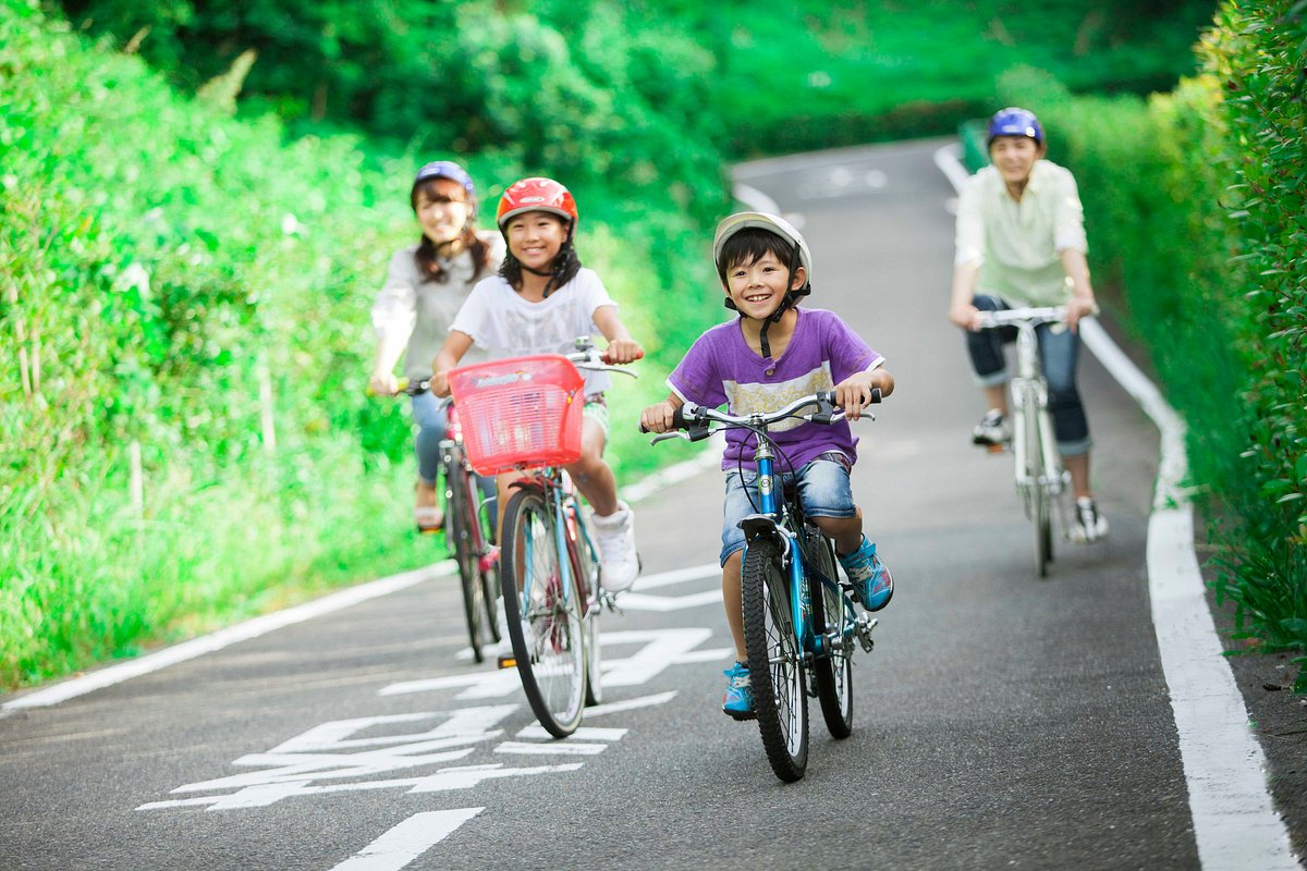 Kansai Cycle Sports Center cover image