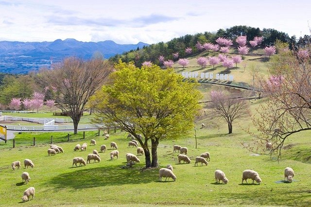 Ikaho Green Farm