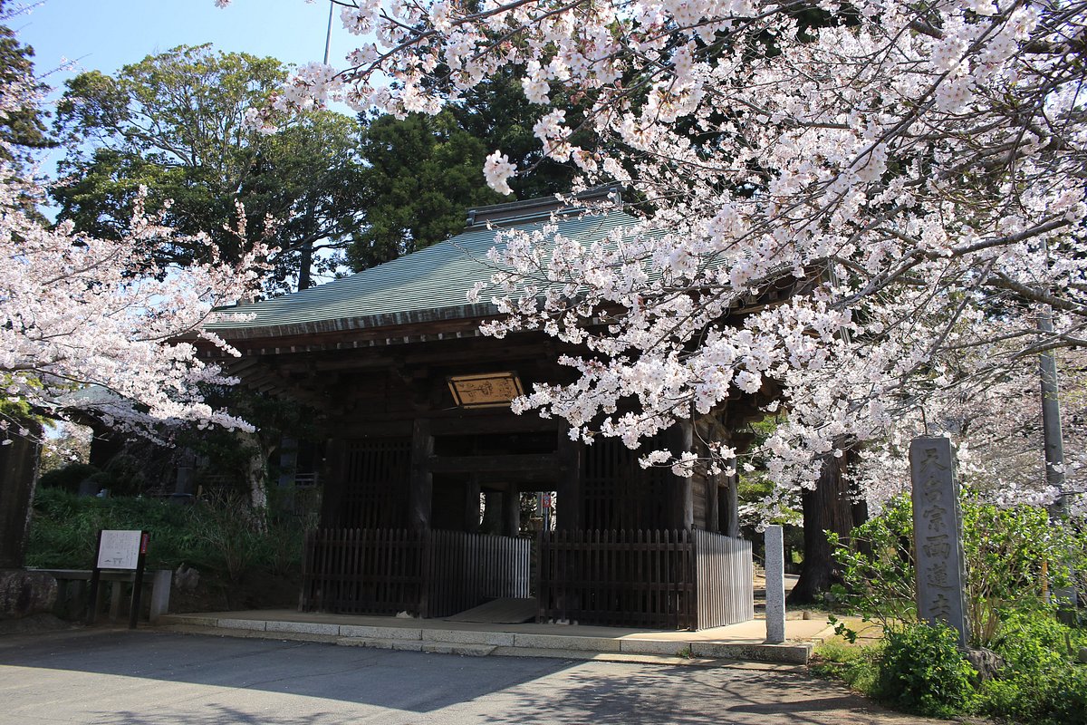 Sairen-ji Temple cover image