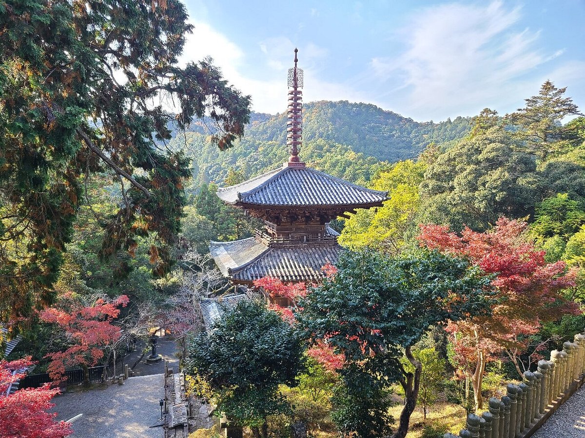 Hokkesan Ichijyoji cover image