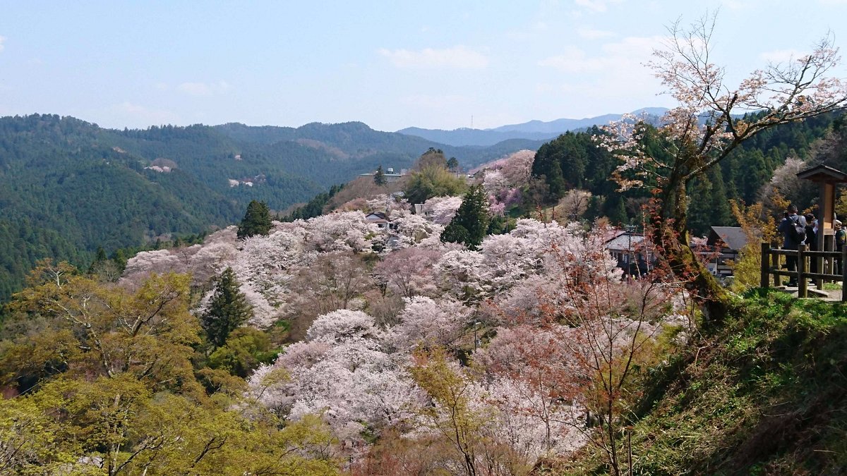 Mt. Yoshino cover image