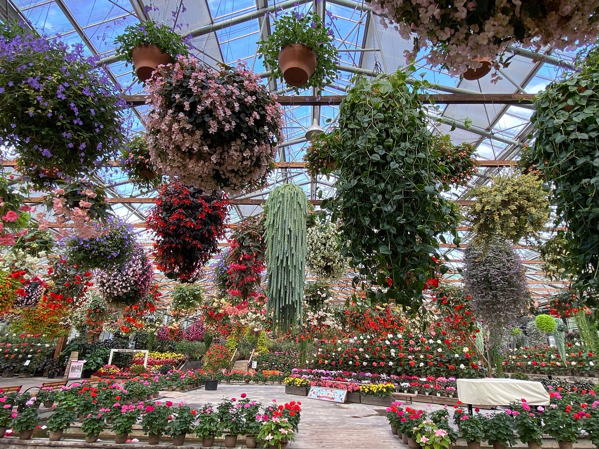 Matsue Vogel Park cover image