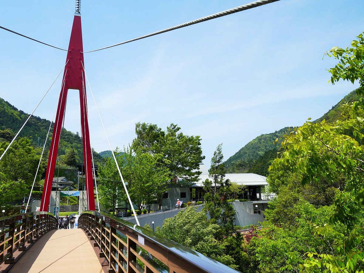 Roadside station Kiri no Mori cover image