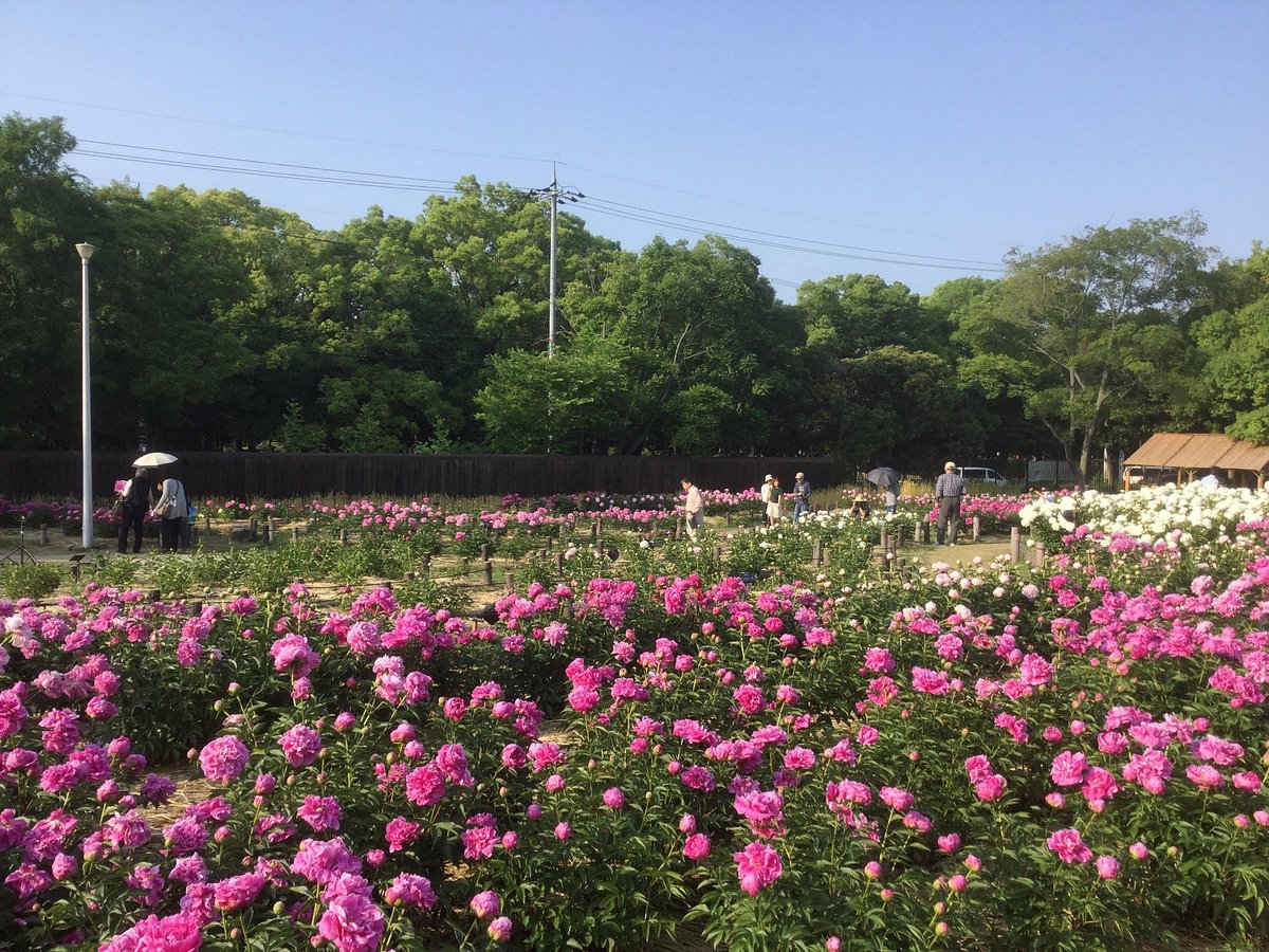 Kyuhojiryokuchi cover image